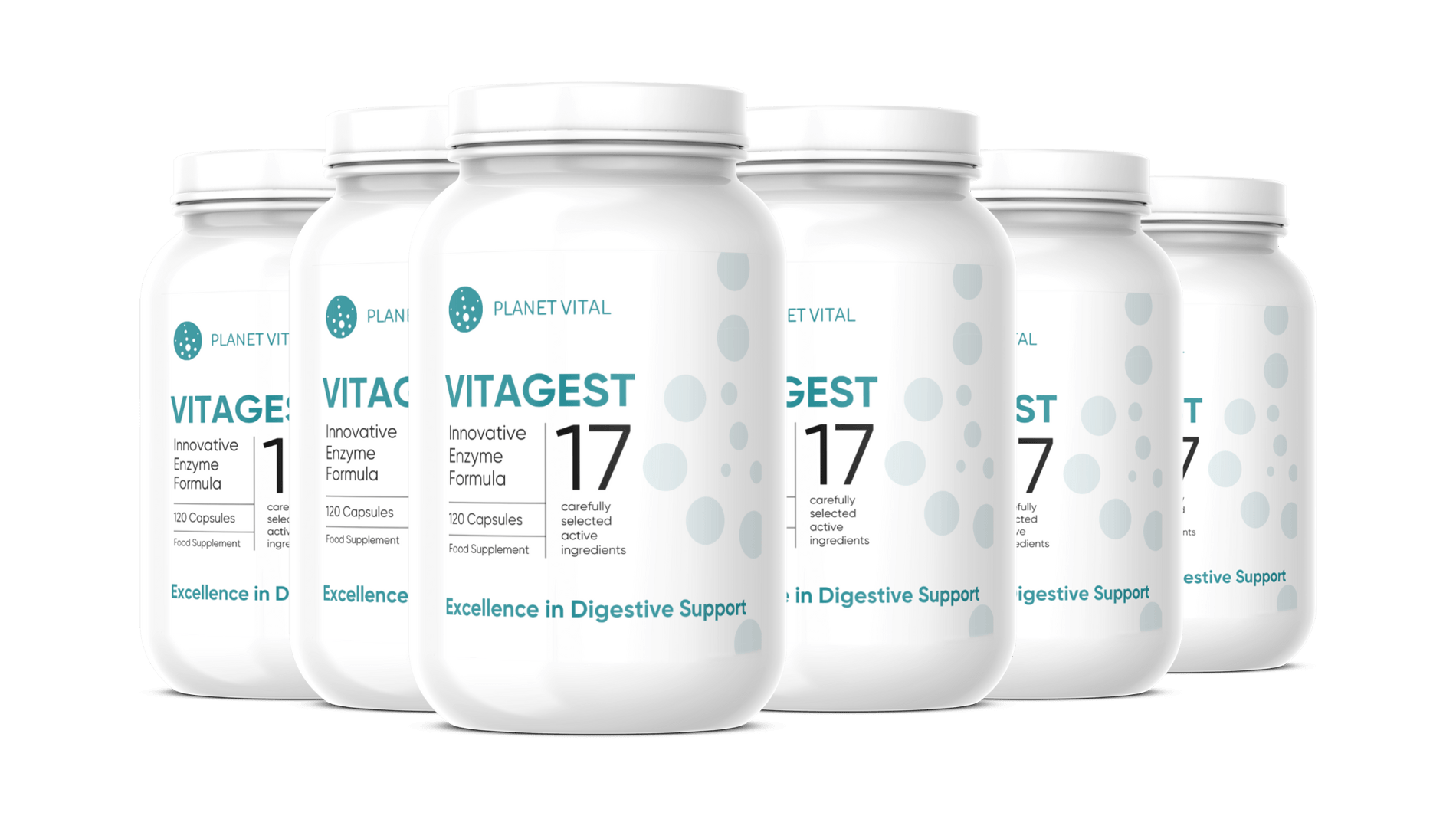 Vitagest (Paket 6x)